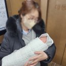 씨유양주한국병원점 | 그리너 샐러드 옥정점 포케 배달 후기(포케, 착즙주스, 미니 그릭 요거트)