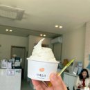 [내 돈 내산] 강릉 식당 및 과일 후기/ 이영돈 딸기 내 돈 내산 후기/ 강릉 동화 가든 내 돈 내산 후기...