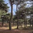 곰사당 이미지