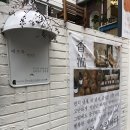 망원 올리브약국 이미지