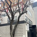 쏘쏘헤어 | [ep.17] 청담 꼼나나 본점 본식 헤메 후기(경민 실장님, 지혜 실장님)