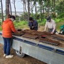 송탄농협서탄지점 이미지