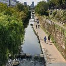 정기농약사 이미지