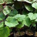 목원농원 이미지