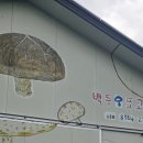 김윤영 농장 이미지