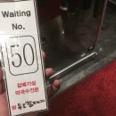 송도갈매기 이미지