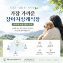 진주IC(순천) | 하동군·남해군·전주시·사천시 강아지장례, 가장 가까운 반려동물장례식장 위치와 비용 안내