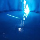 예스종합관리