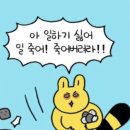먹보 - 공주시 번영2로 53 | 먹보