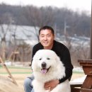 우리애견 이미지