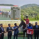 주-한국스포츠개발짐리턴 | 경마를 진심으로 좋아하게 된 과정과 주저리.