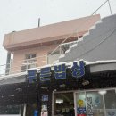 도동길 | 울릉도 도동항 밥집, 푸른밥상 솔직 후기(오징어내장탕 맛집)