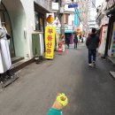 멍이냥이친구네