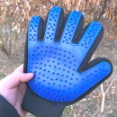 댕구상점 이미지