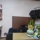 행복한머리방 - 정읍시 청수4길 54 | 행복한머리방