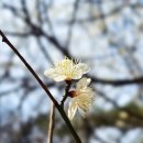 뚜레쥬르 광주5.18공원점 | 광주 5.18기념공원 걷기 상무초밥 상무본점