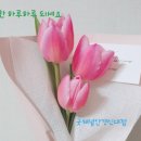 굿채널안경 신대점 이미지