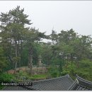쌍옥천 Daum카페