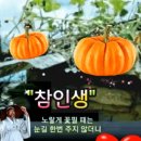 덕담