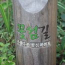하화도 민박 이미지