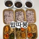[리뷰] 강남 점심배달 고민 끝! 건강한 도시락 정기배송 '밥따봉' 이용 후기