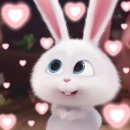 평택핑크리본외과의원 | 평택핑크리본외과 방문 후기 / 내돈내산