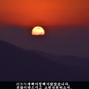 운수대통 Daum카페
