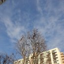 Q-부동산공인중개사사무소 이미지