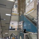 제이시티 | 종로 효성주얼리시티 드오르제이 커플링 구경 후기