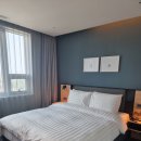 소노캄 고양 이미지