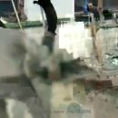 임산시장 이미지