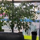 파평면사무소 앞 이미지