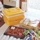 주식회사 더코스랩 | [안성 아이와 가볼만한 곳] 하우스플레이랩 캠프닉 후기 | 캠핑 분위기 가득한 가족 놀이터