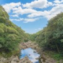2023 제주국제관악제 <봄 시즌> | 🌴 JW 메리어트 제주 리조트 &amp; 스파: 제주의 품격을 담은 럭셔리 휴식 공간