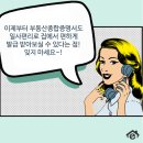 IR행정사사무소 네이버블로그