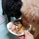 개로만족