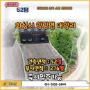 금복부동산공인중개사사무소 이미지