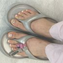 헤이도네일