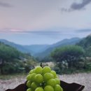 지리산청학재 이미지