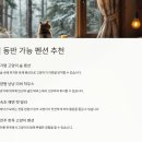 머물 | 고양이와 함께 머물 수 있는 숙소 추천
