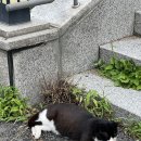 모어그린 | 양주 장흥 대형 베이커리 카페 모어그린 MORE GREEN 내돈내산 후기