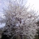 퇴촌남종통합보건지소 이미지