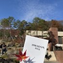 입장-16 | 화담숲 후기(11/16 단풍상황), 입장 시간, 최미자소머리국밥 내돈내산 후기, 남한산성 카페 스코그