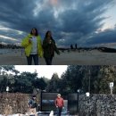 더파란 민박 이미지