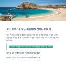 카보스렌터카 네이버블로그