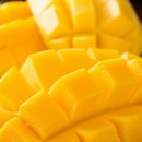 행복일번지 이미지