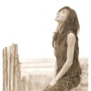 노고지리 이미지