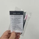 226 | 대전 송촌동 세안느뷰티 속눈썹펌 패디플래닝 잘하는 곳 추천