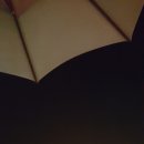 [주말데이트] 강화 석모도 여행