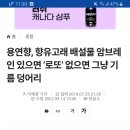 용연향, 향유고래 배설물 암브레인 있으면 ‘로또’ 없으면 그냥 기름 덩어리 이미지